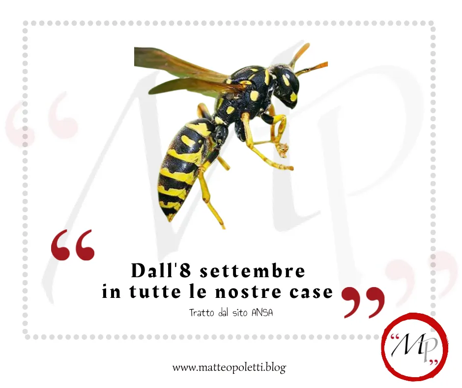 Grafica per il blog di Matteo Poletti. In alto: una vespa. Frase fra virgolette rosse: "Dall'8 settembre in tutte le nostre case". Riferimento al sito ANSA e al blog di Matteo Poletti. Logo con le lettere "MP" fra virgolette rosse e cerchiato di rosso